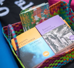 Libros de Libro al Viento dentro de una colorida canasta tejida